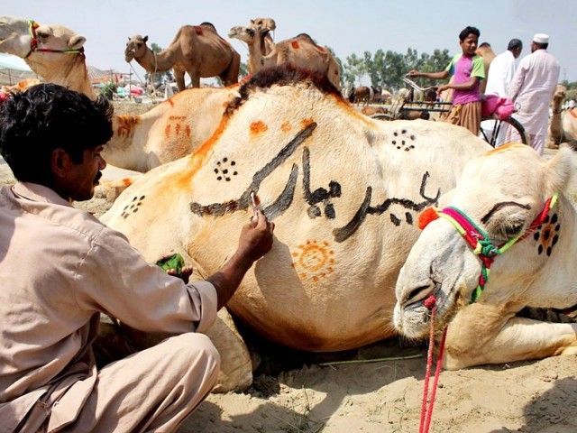 Cattle Market in Lahore Harbanspura - Eid ul Azha 2014