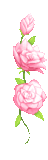 1-pink-flowers-animated.gif