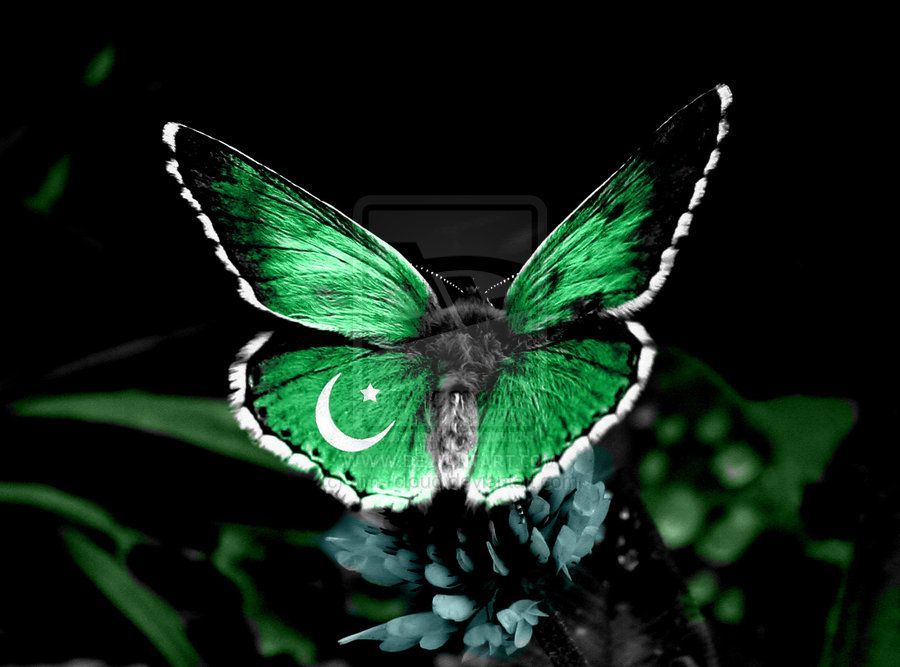 23-March-Pakistan-Day-Wallpapers-Images-3.jpg