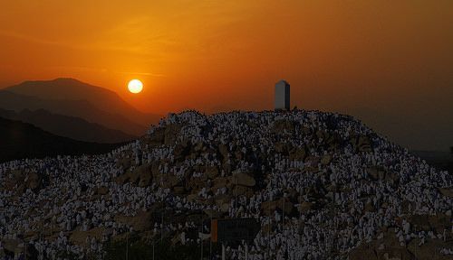 arafah_07.jpg