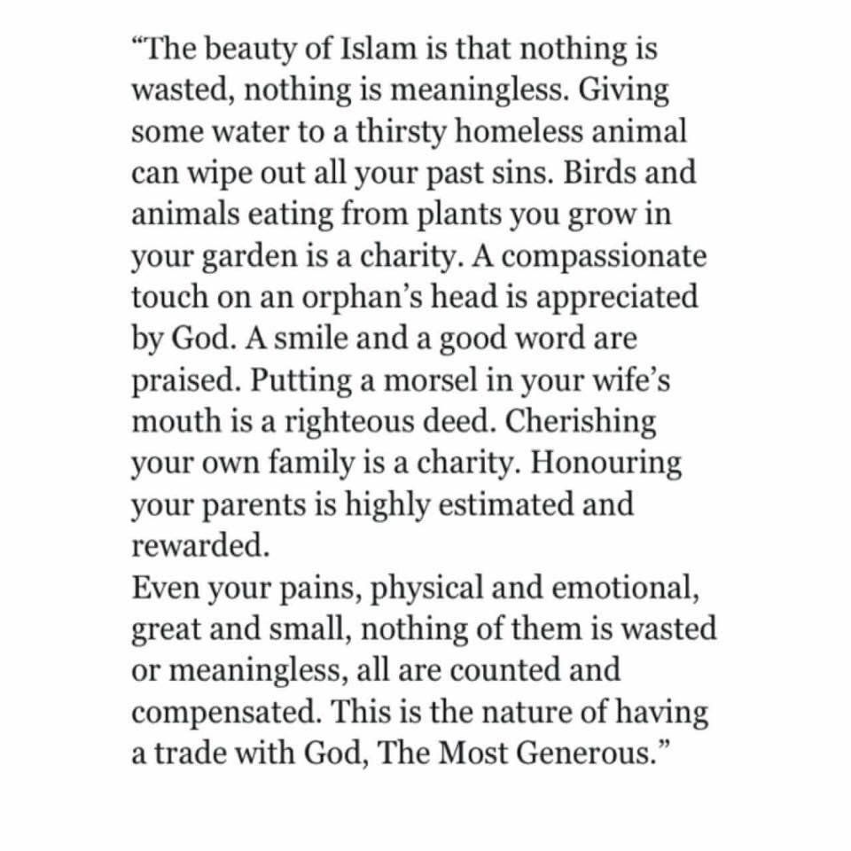 beauty of islam read.jpg