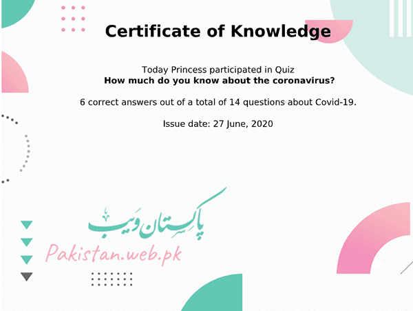 Covid19-Quiz-Certificate-princess.png