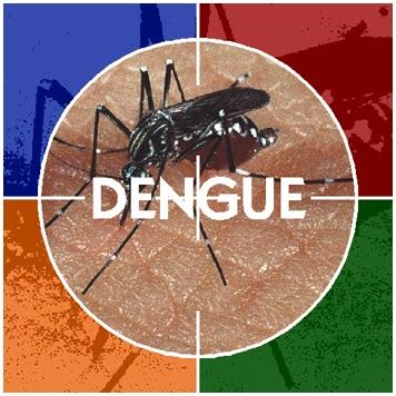 Dengue.jpg