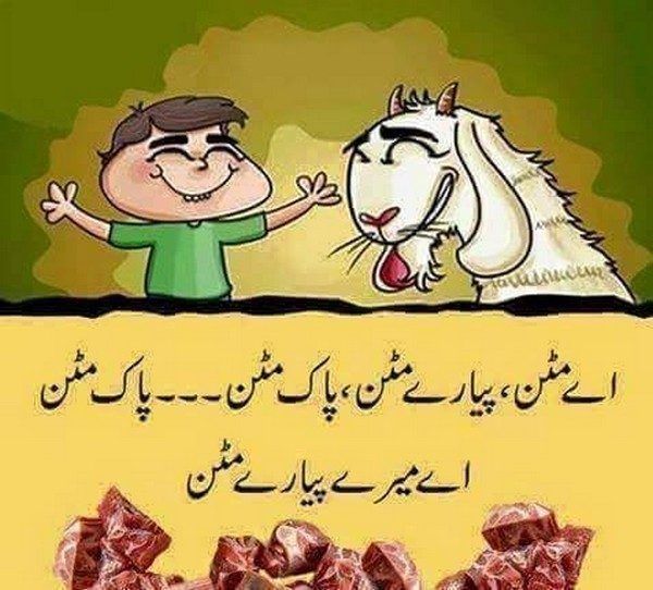 Eid-Ul-Adha-Funny-Pictures-Gallery.jpg