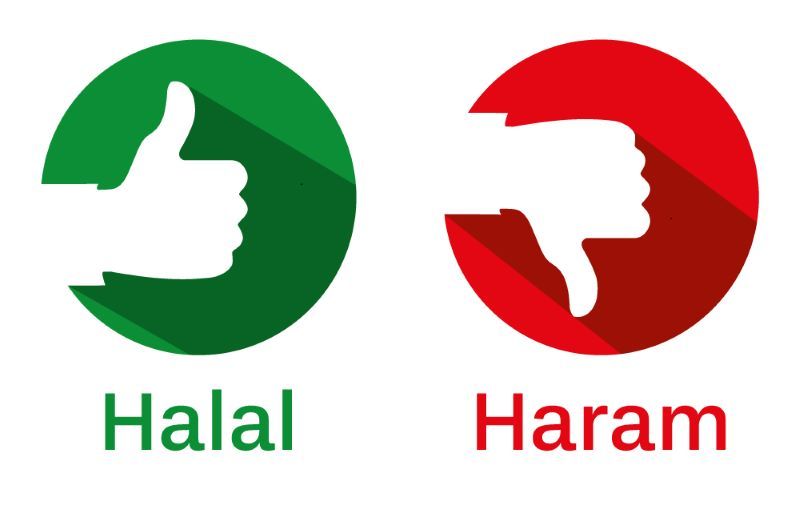 Regarding Halal and Haram in Islam - Islamic Knowledge Info | Pakistan  Social Web