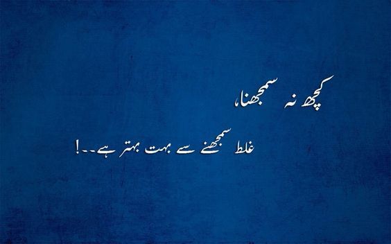 kuch-na-samjhna-ghalt-smjhne-se-behtar-ha-urdu-quote-status.jpg