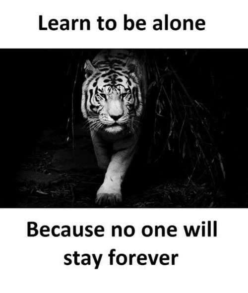 learn-to-be-alone-because-no-one-will-stay-forever.png