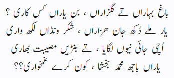 Punjabi Poetry Baagh baharan te gulzaran bin yaran.png