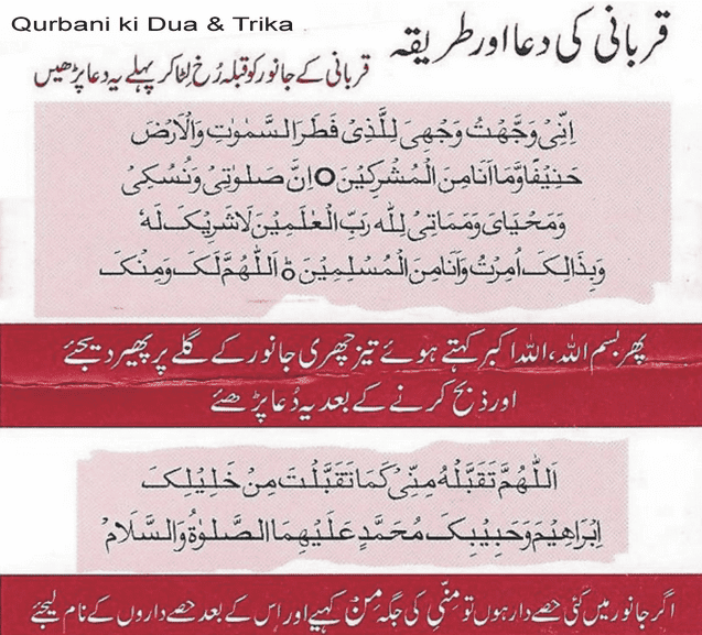 qurbani ki dua aur tarika.png