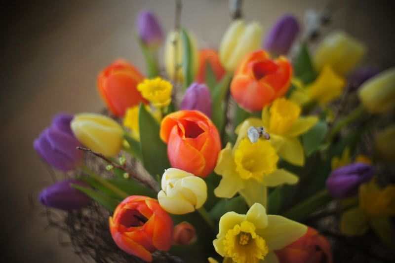 spring-flowers-bouquet.JPG