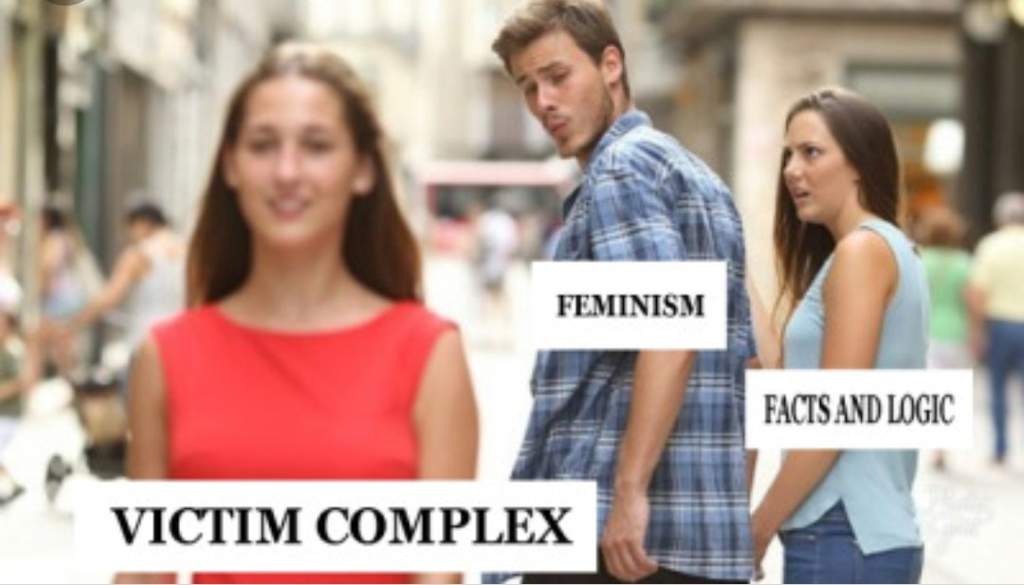The Illusion Of Feminism.jpg