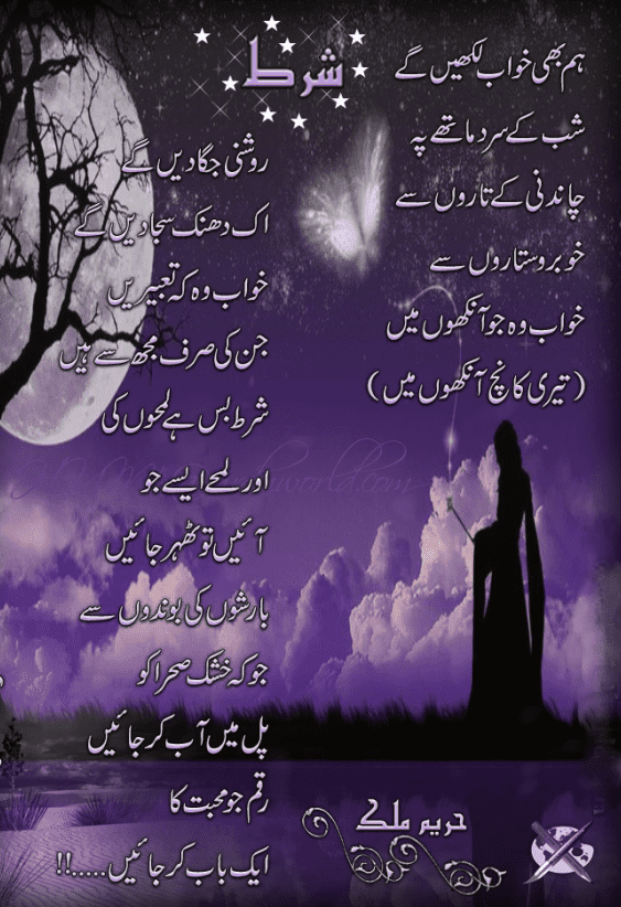 urdu-poems-and-ghazal-poetry-hum-bhi-khawab-795x1024.png