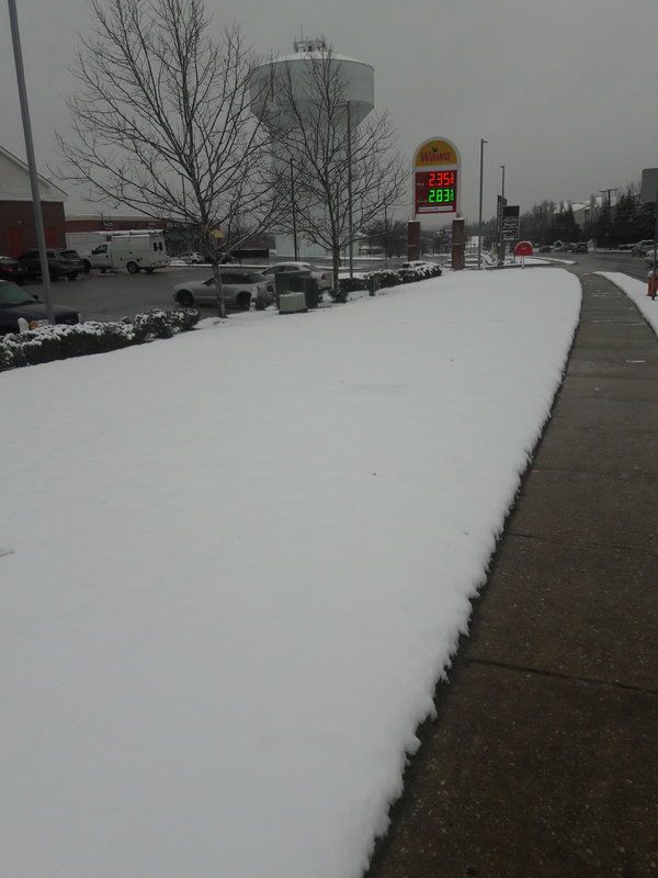 White Carpet.jpg