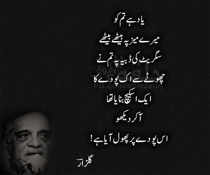 yaad-shayari-gulzaar.jpg