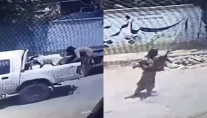 Thief Caught Stealing Goat from Moving Car in Quetta